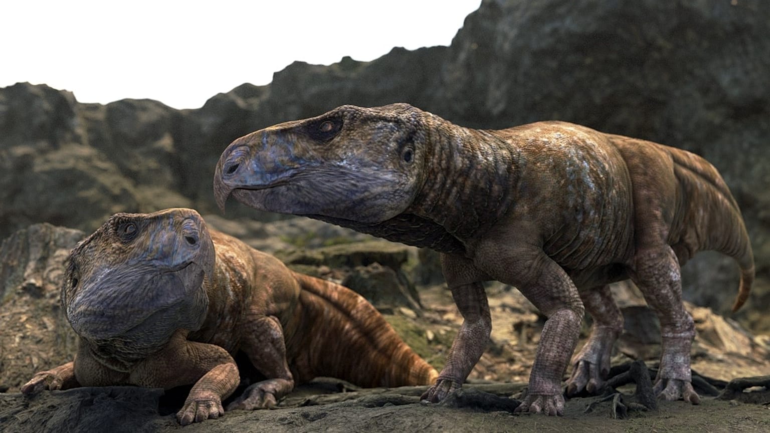 Az Ajkaceratops kozmai lehetséges megjelenésének rekonstrukciója