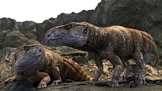 Az Ajkaceratops kozmai lehetséges megjelenésének rekonstrukciója