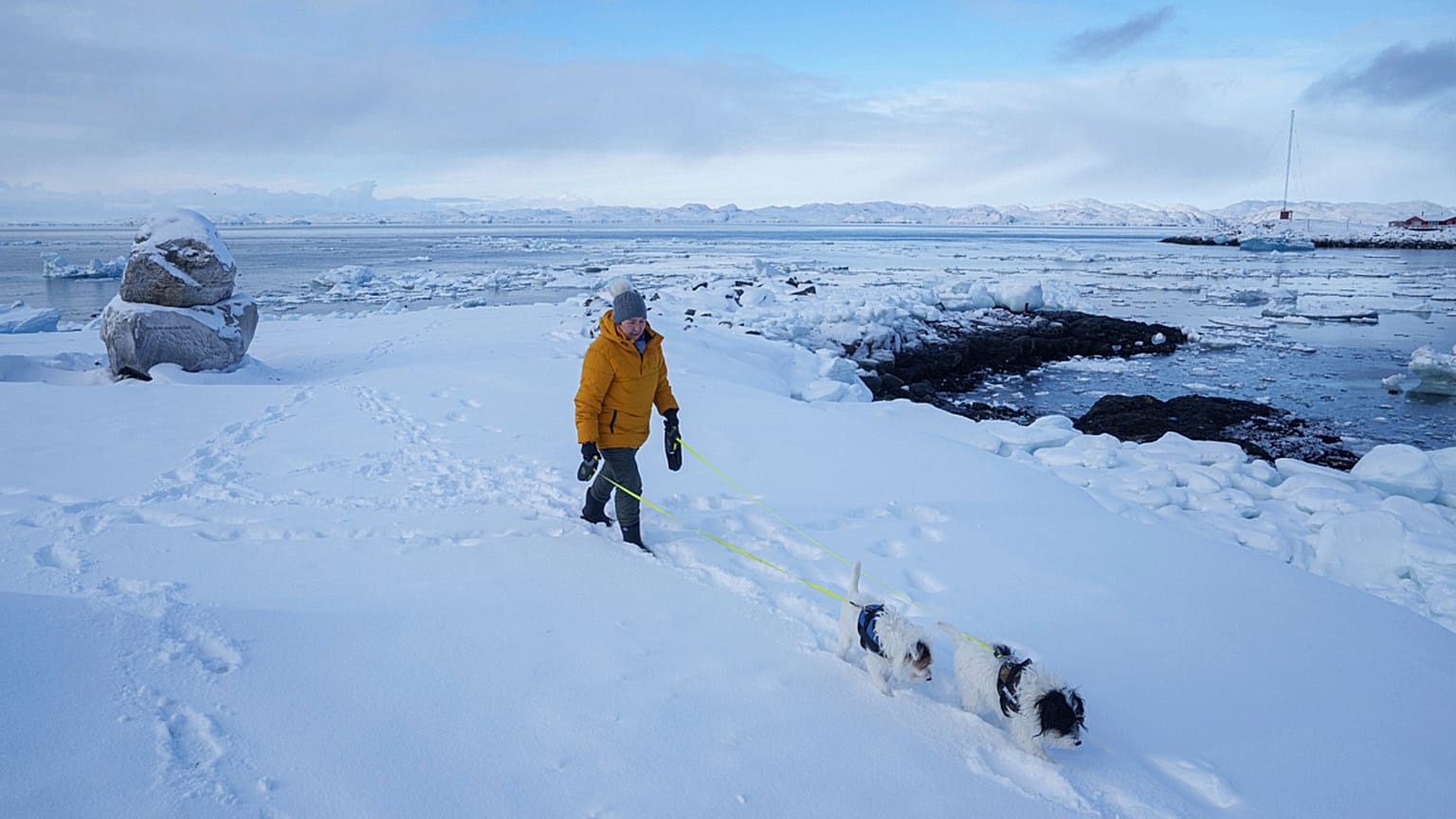 A woman walks with her dogs on a beach in Nuuk, Greenland, on March 4, 2025.