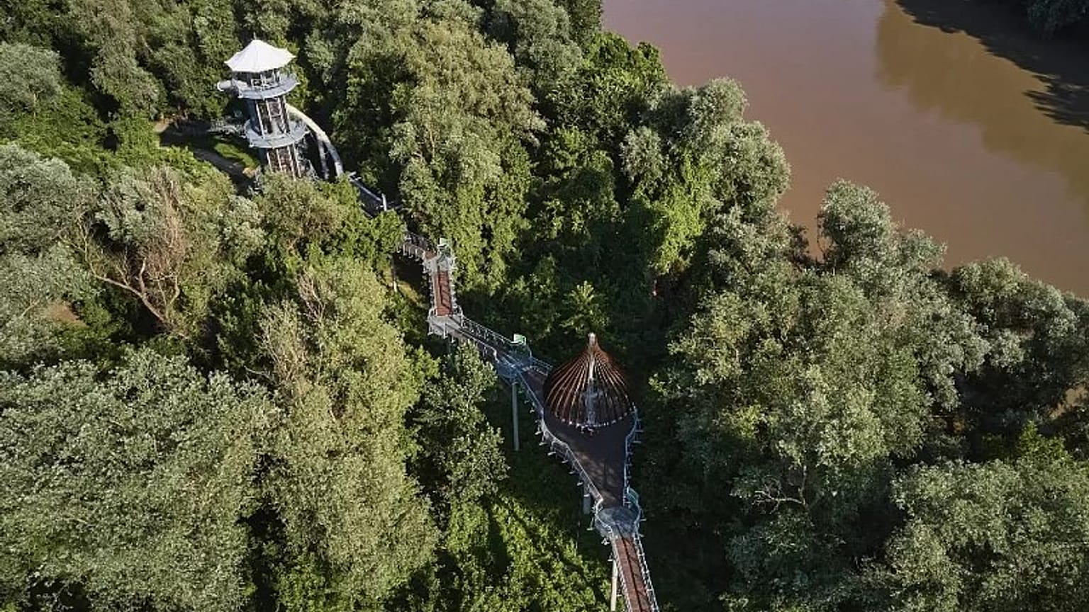 Lombkoronasétány - létező erdővel