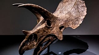 φωτό αρχείου