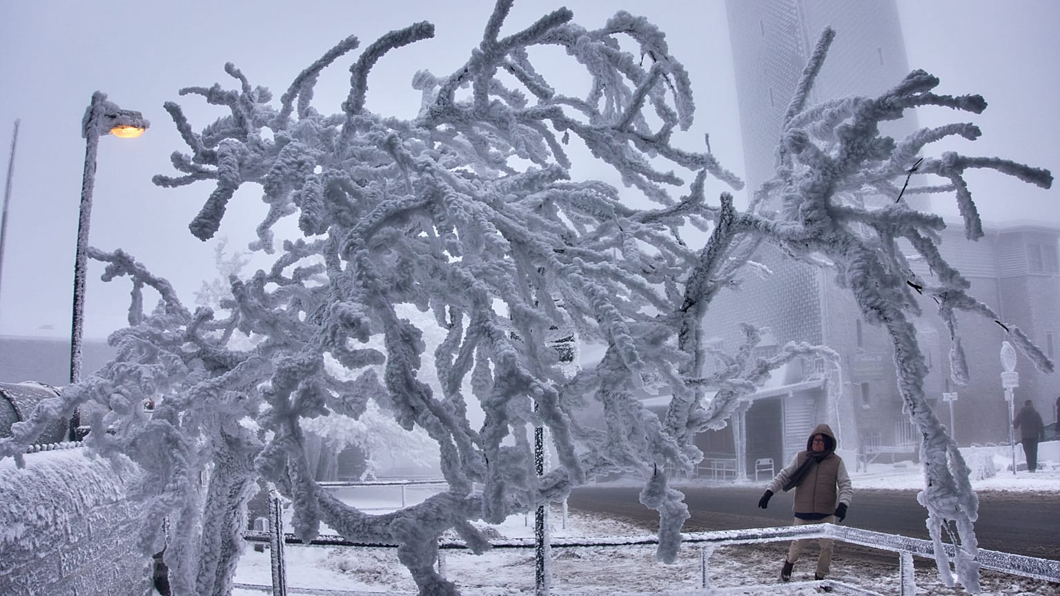 Ein von Eis überzogener Baum ist am Donnerstag, dem 8. Januar 2026, auf dem Gipfel des Feldbergs nahe Frankfurt in Deutschland zu sehen.