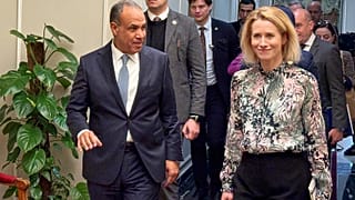 Egypt and EU agree on urgent need for second phase for Gaza ceasefire