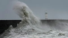 Images d'illustration.
