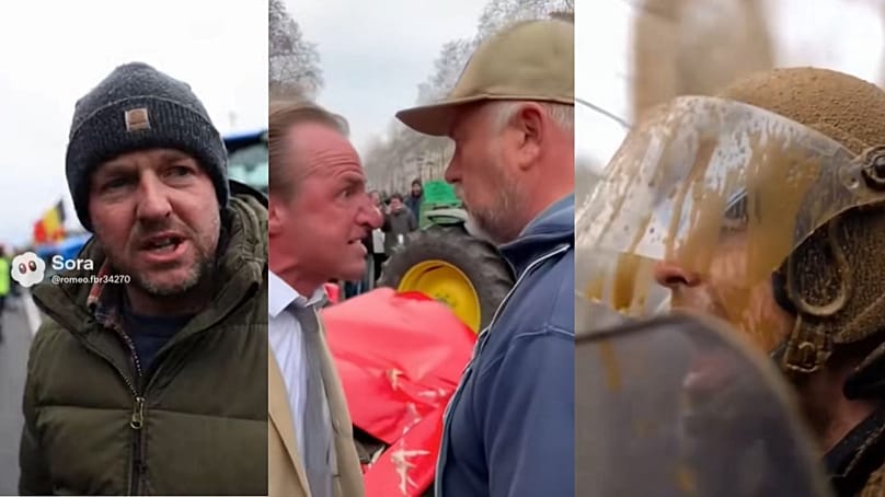 Collage of screenshots of AI-generated videos