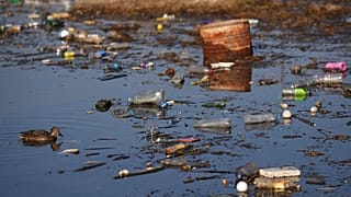 تلوث المياه بفعل القمامة 