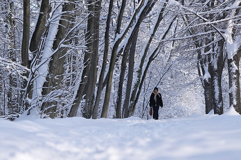 A woman walks through a snow covered park in Belgrade, 8 January, 2026