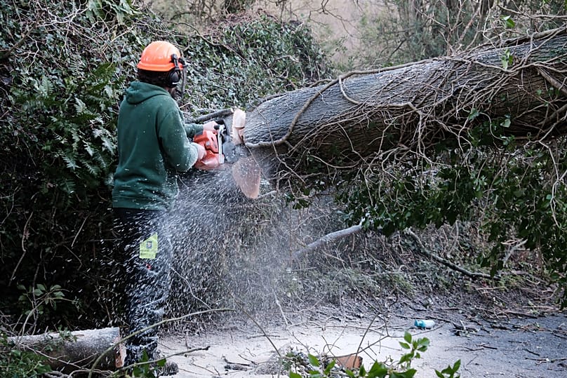 A fallen tree is cleared from a road in Cornwall, 9 January, 2026