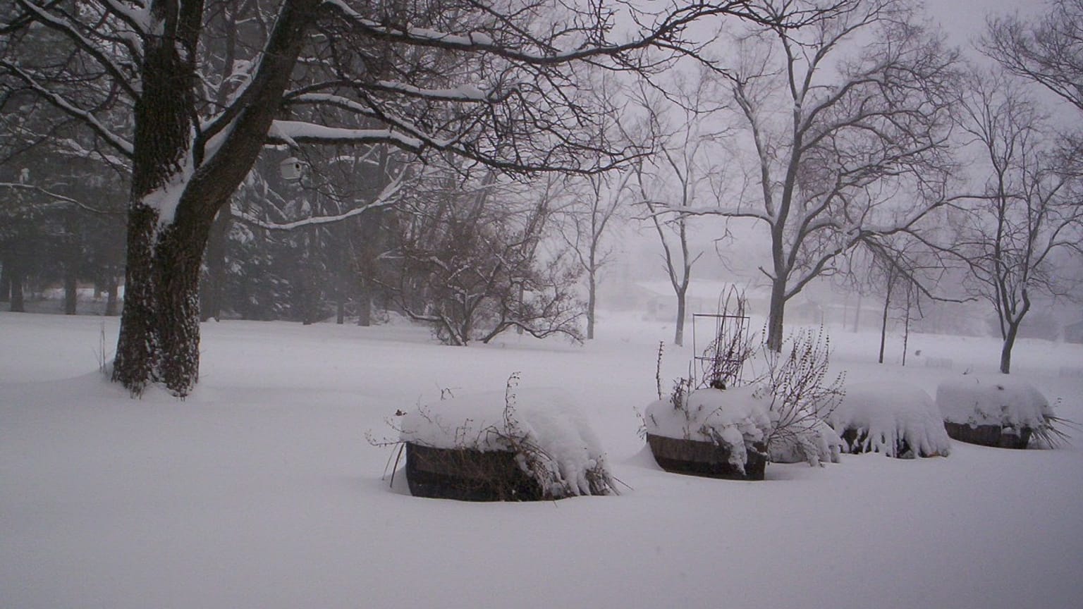 Kar fırtınası / Arşiv