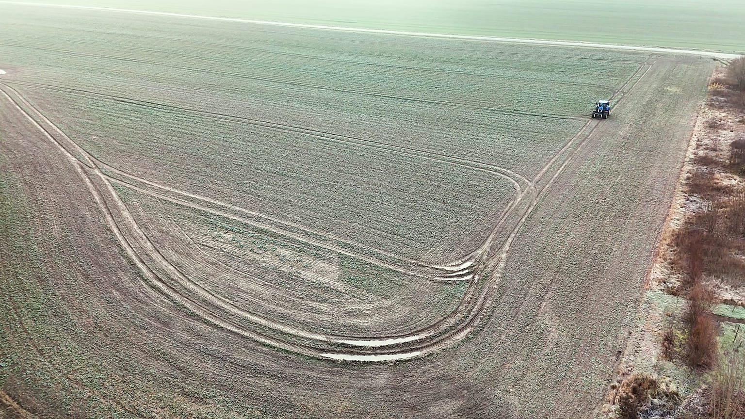 Видеть сквозь облака: как радарные снимки помогают фермерам в Польше