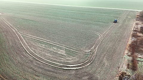 Видеть сквозь облака: как радарные снимки помогают фермерам в Польше