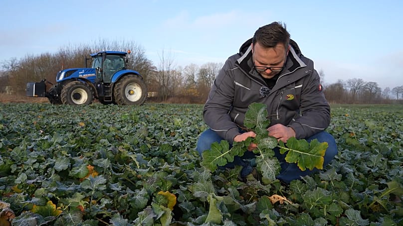Ο Κάρολ Πιετουκόφσκι, διευθυντής αγροκτήματος στην Farm Frites Poland, εργάζεται σε ένα χειμερινό χωράφι με σπόρους ελαιοκράμβης στο Bobrowniki της Πολωνίας.