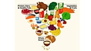 ABD'nin yeni beslenme piramidi