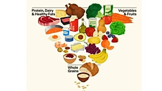 ABD'nin yeni beslenme piramidi