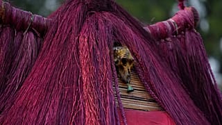 Thousands gather to mark Benin's Vodun Days showcasing local culture