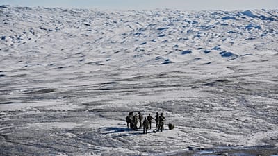 Les forces militaires danoises participent à un exercice.