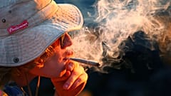 Investigadores del Reino Unido han propuesto nuevos límites para un consumo de cannabis "más seguro" en un contexto de creciente consumo y disponibilidad en el mercado. 