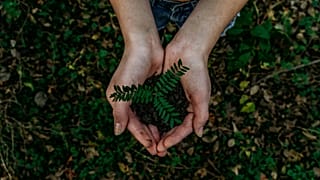 Close-up shot of hands wrapped around a plant. 