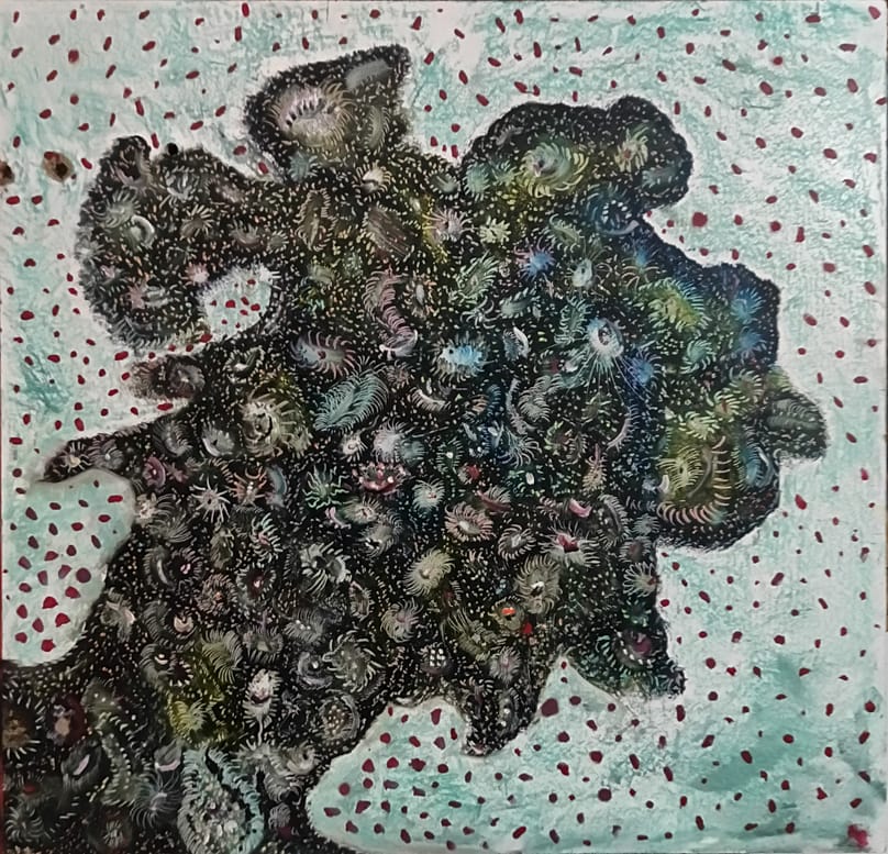  Σαμσών Ρακάς 