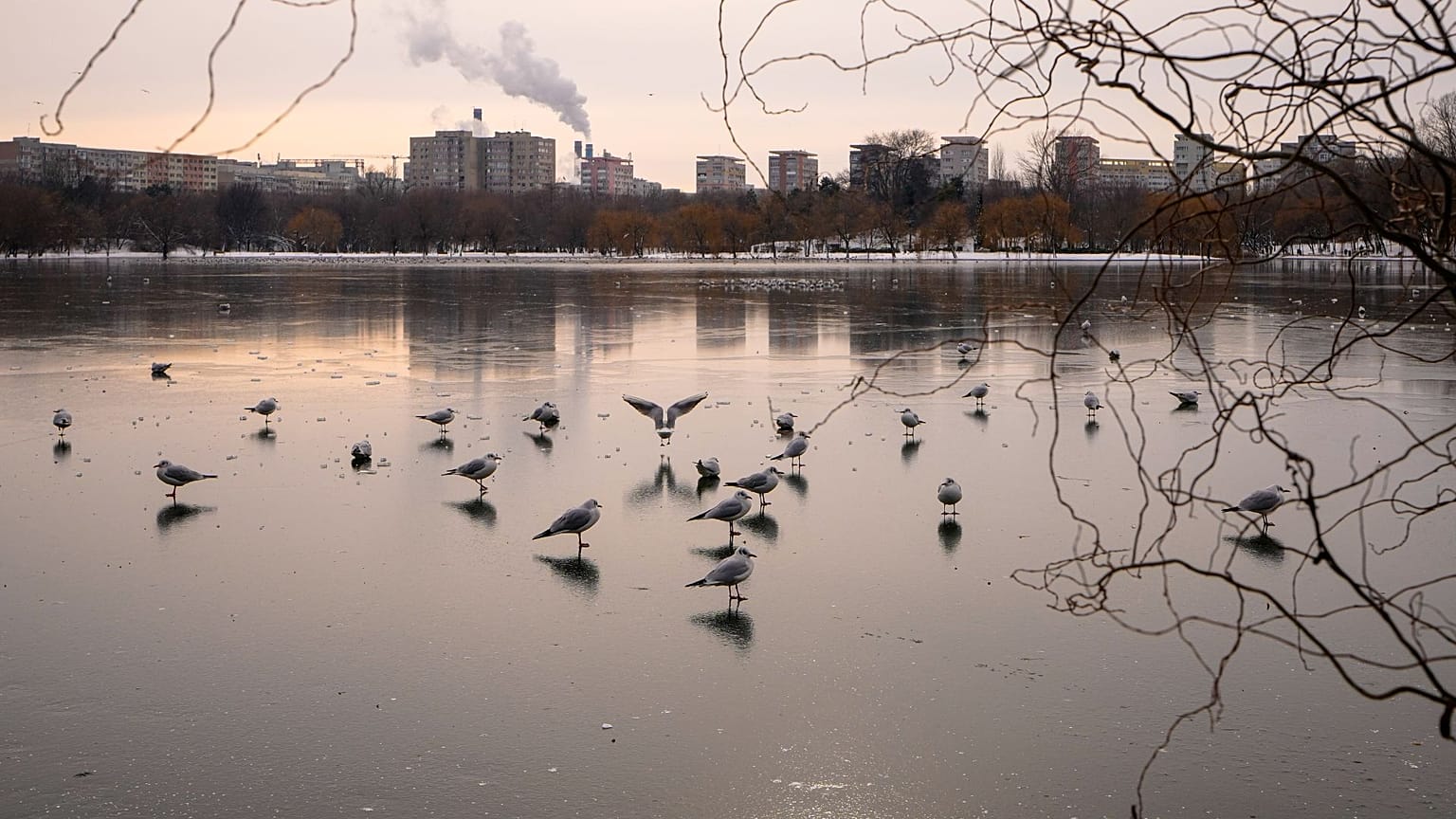 El vapor se eleva desde una planta de calefacción mientras las aves sobrevuelan un lago helado en Bucarest, Rumanía, martes, 13 de enero de 2026.
