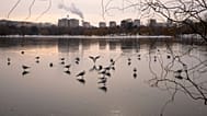 Sobe vapor de uma central de aquecimento enquanto aves sobrevoam um lago gelado em Bucareste, Roménia, terça-feira, 13 de janeiro de 2026