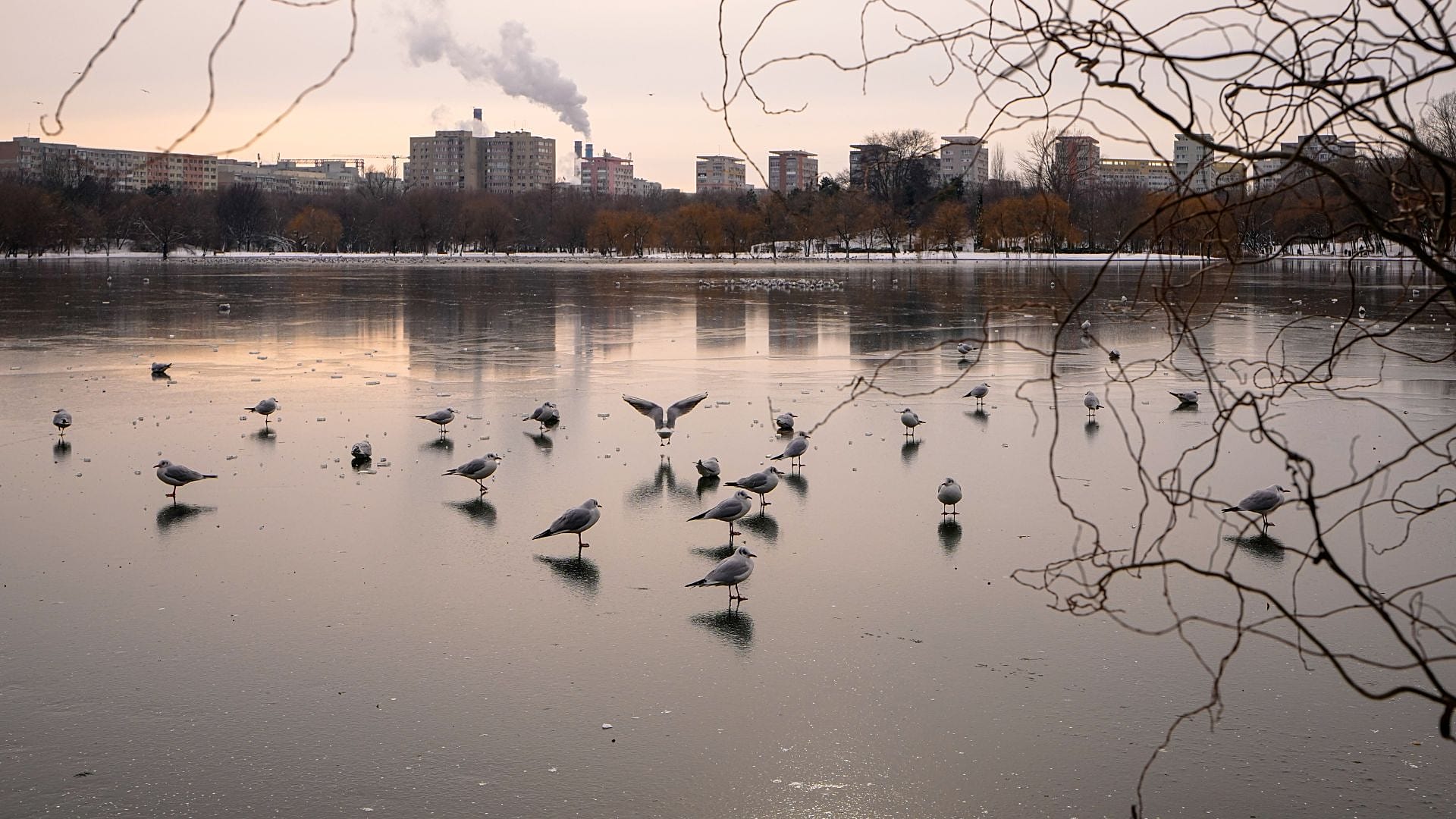 Bukarest, Rumänien: Aus einem Heizwerk steigt Dampf. Über den zugefrorenen See fliegen Vögel. Dienstag, 13. Januar 2026.