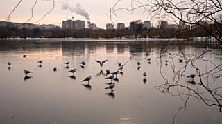 Steam rises from a heating plant as birds fly over a frozen lake in Bucharest, Romania, Tuesday, Jan. 13, 2026. 