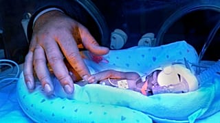 Демонстрационное фото.