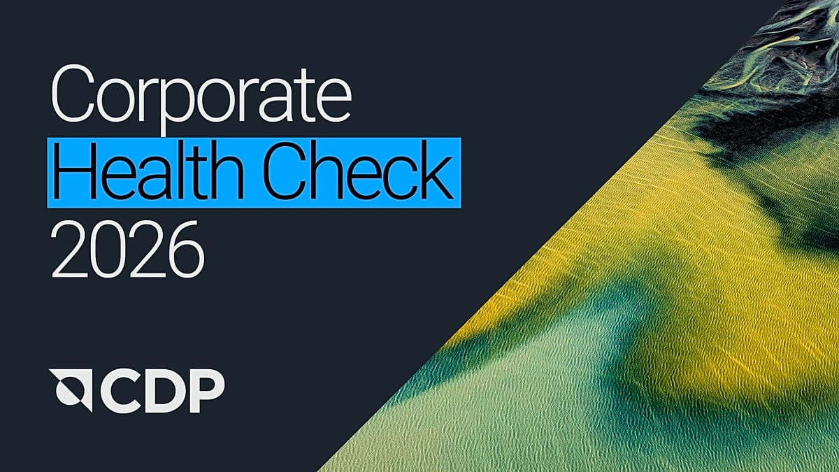 The New Economics of Corporate Sustainability | Euronews