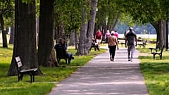 Eine neue Studie zeigt: Kleine Änderungen im Alltag können das Leben verlängern. Etwa fünf zusätzliche Minuten Bewegung oder eine halbe Stunde weniger Sitzen täglich.