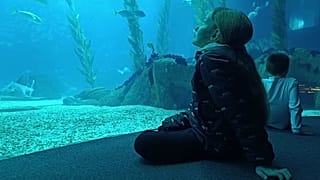 Criança ucraniana visita o Oceanário de Lisboa