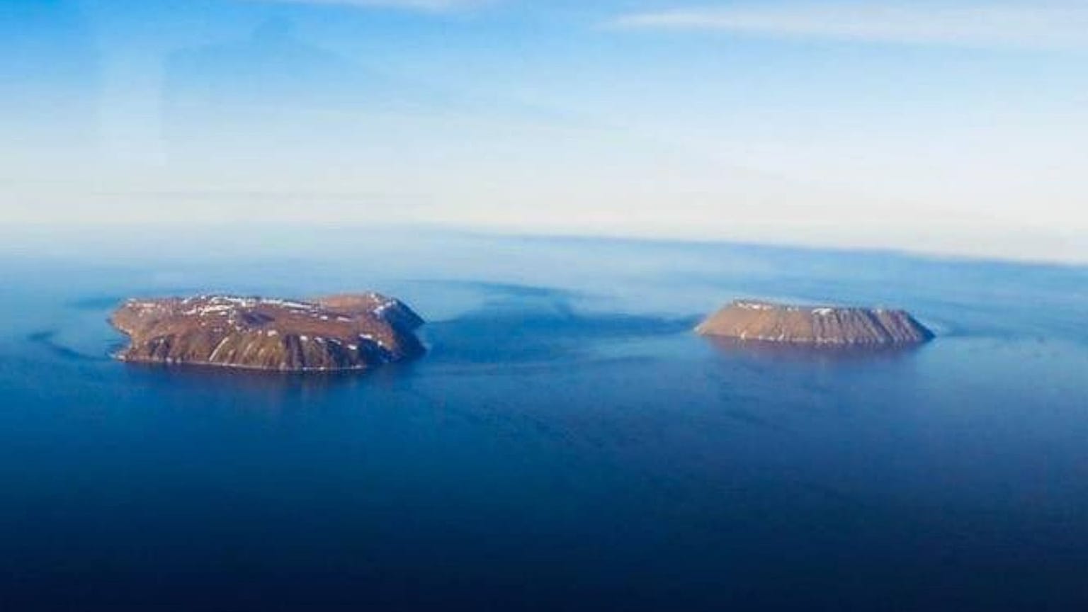 A Diomeda-farkasszem