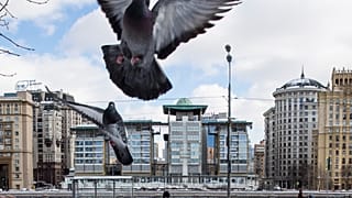 Вид на посольство Великобритании в Москве. 