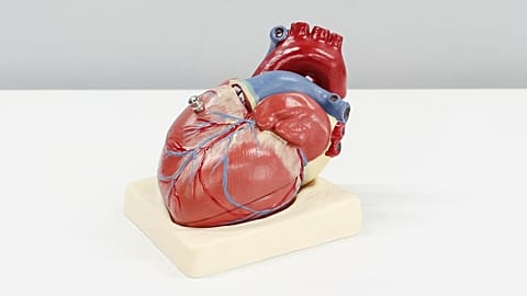 Arşiv görüntüsü.