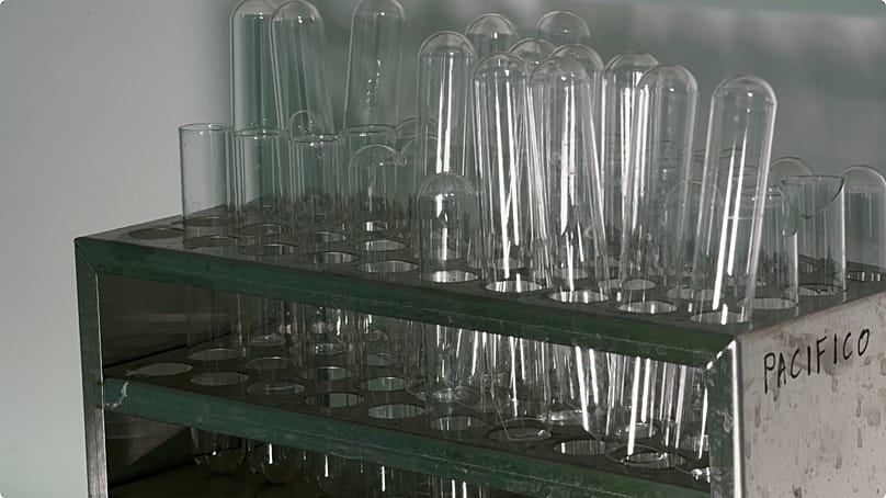 Erfolgreicher Wissenstransfer von der Uni zur Realwirtschaft: Viele erfolgreiche Bio-Startups sind aus universitären Forschungsprojekten entstanden. 