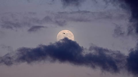 A bird flies as the full moon, known as the Wolf Supermoon rises in the sky over Belgrade, Serbia, Friday, Jan. 2, 2026. 