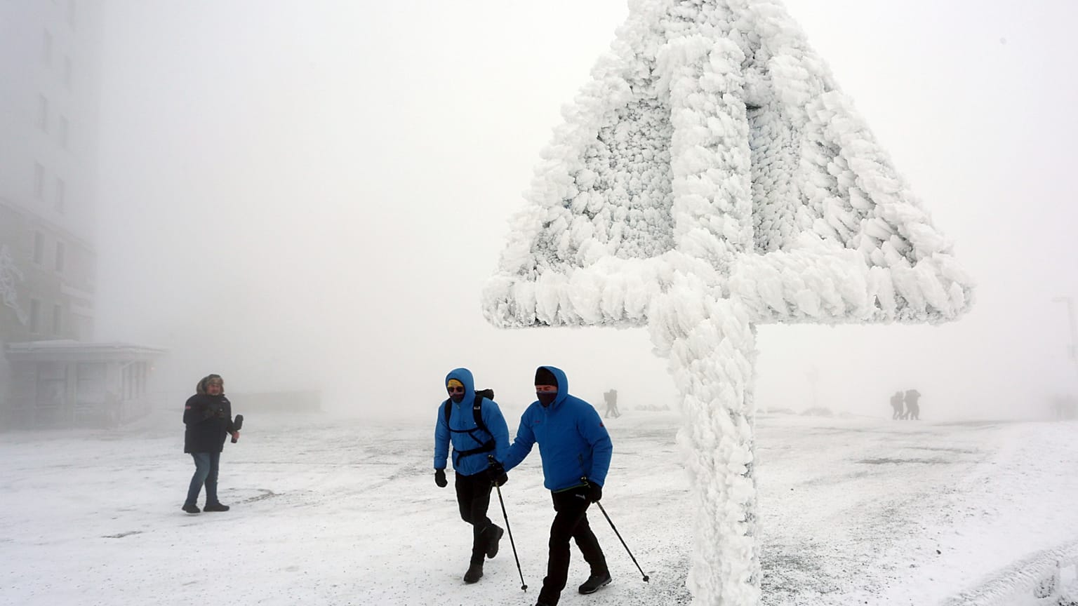 Polarwirbel Vorhersage