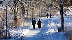 Regelmäßige Bewegung, Sonnenlicht, guter Schlaf und soziale Kontakte helfen gegen den Winterblues.
