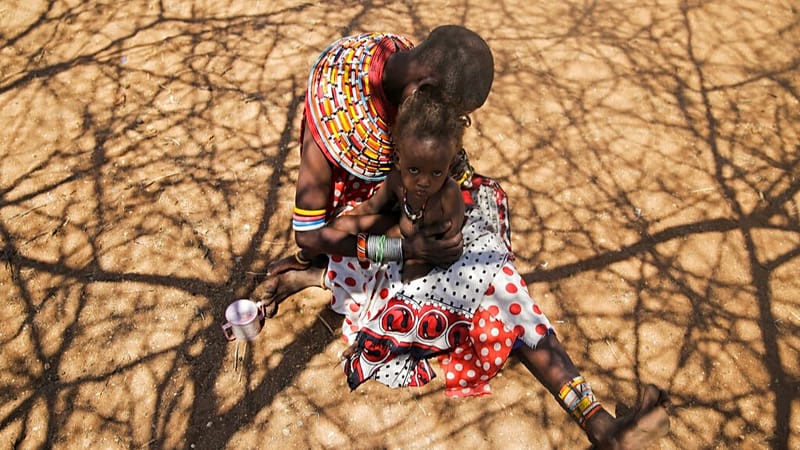 برنامج الأغذية العالمي يحذّر: تقليص التمويل يفاقم أزمة الجوع في غرب ووسط إفريقيا 