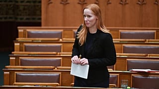 Bakos Bernadett a parlamentben