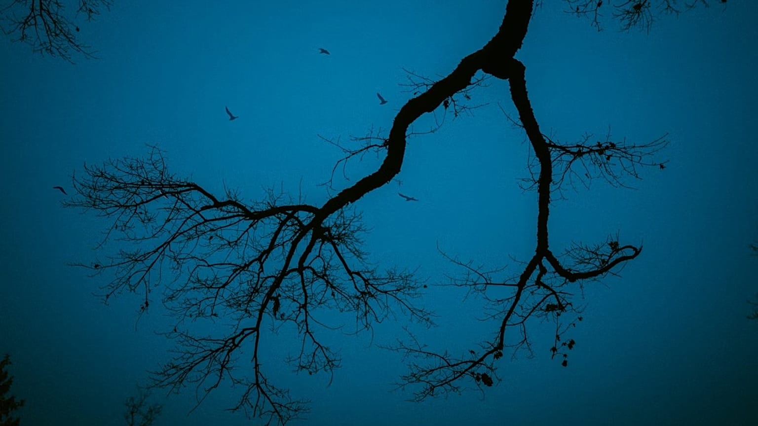 Arşiv görüntüsü