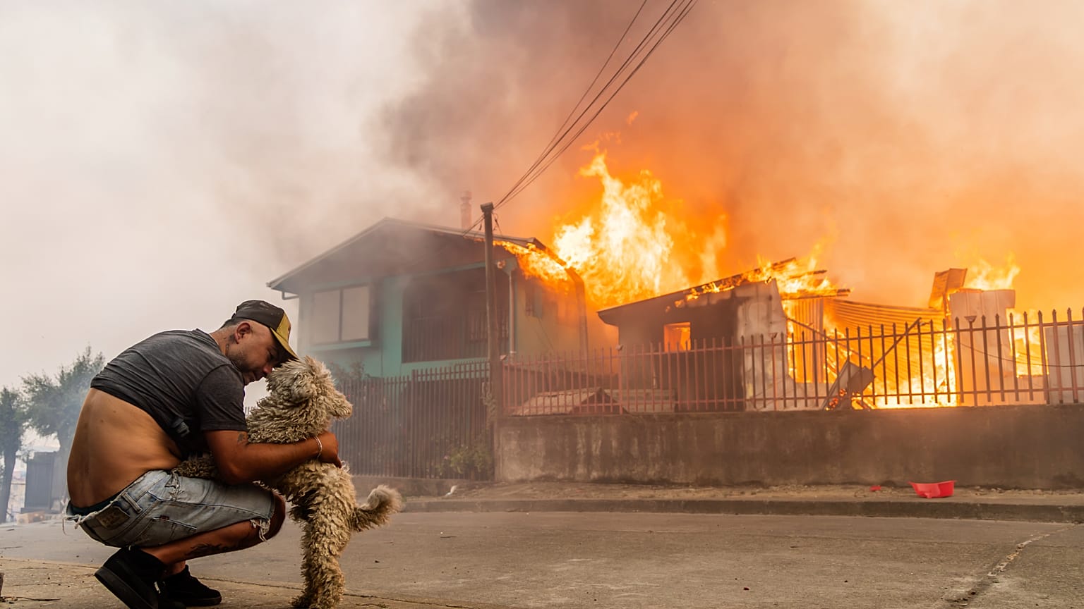 A member of the Gonzalez family pets his dog after the family's home caught fire during wildfires in Lirquen, Chile, Sunday, Jan. 18, 2026