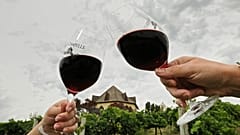 DATEI: Menschen halten Weingläser mit 2012 Cabernet Sauvignon in der Ste. Chapelle Winery von Sunnyslope in Caldwell, Idaho. 14. Juli 2016.