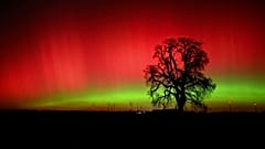 Nordlichter erhellten in der Nacht zu Dienstag den Himmel über vielen Teilen Deutschlands.