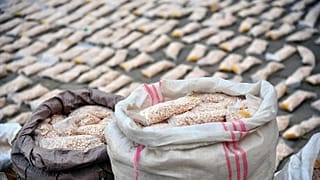 Authorities display Captagon pills in Damascus, 30 November, 2021