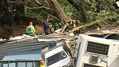 Auf diesem Videostandbild durchsucht ein Polizist mit Spürhund Personen nahe einem Erdrutsch am Fuß des Mount Maunganui auf Neuseelands Nordinsel. Am Donnerstag.