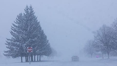 Vehicles are driven through whiteout conditions along Lake Michigan Drive during a winter storm warning in Ottawa County, Mich. on Monday, Jan. 19, 2026. 