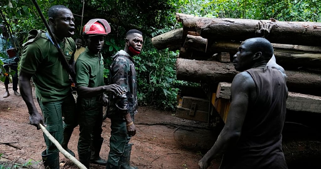 Nigeria's strategy to combat illegal logging and poaching