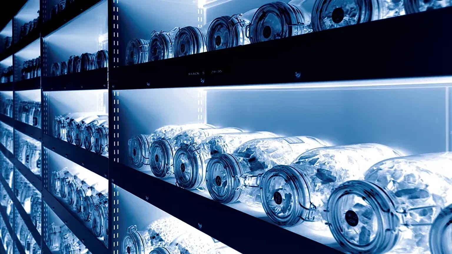 Kıyamet kasasındaki tohumlar.