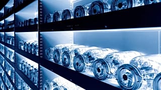 Kıyamet kasasındaki tohumlar.